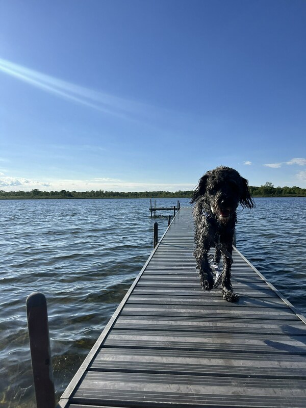 Auggie at a lake